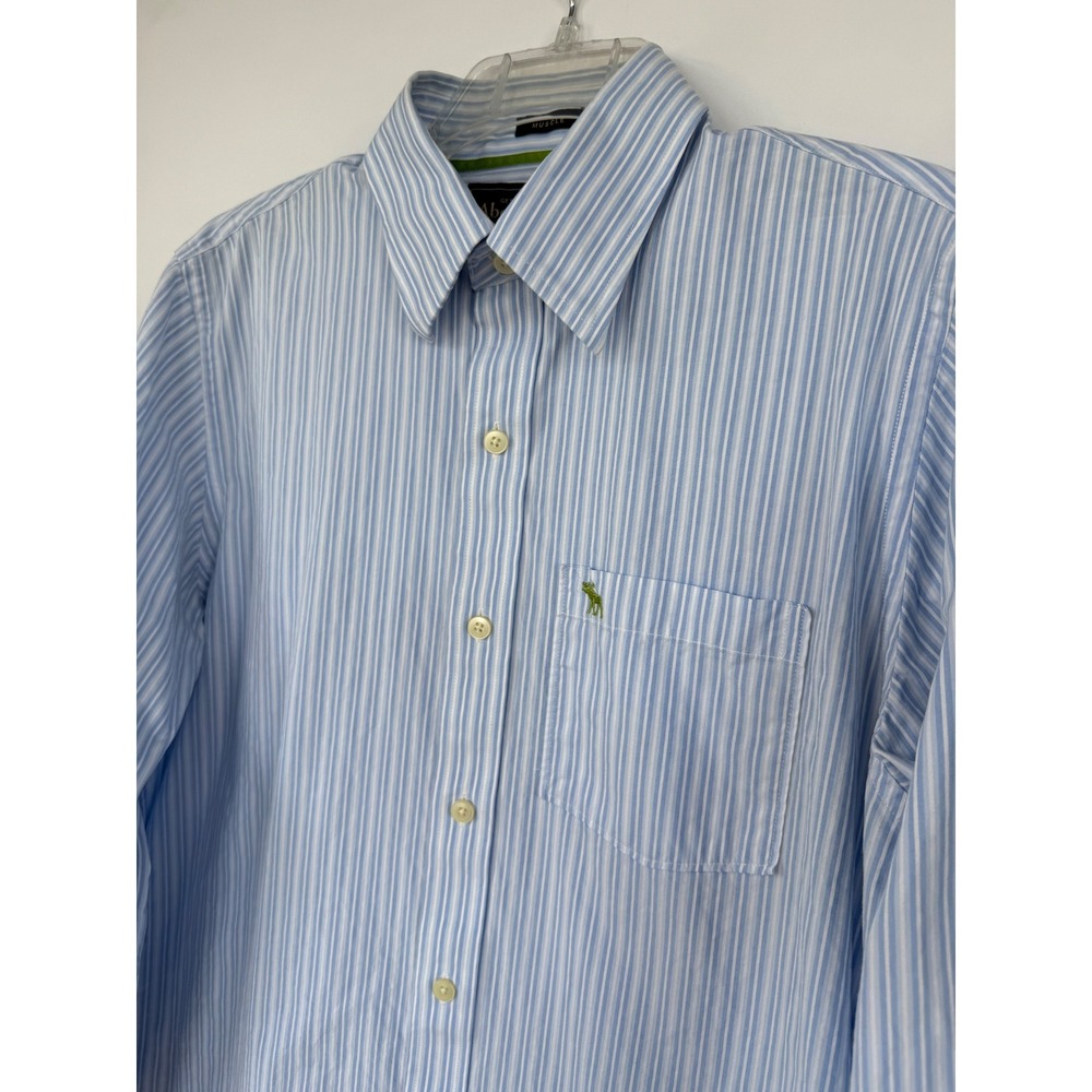 Abercrombie & Fitch Mens Muscle Fit‎ Striped Button Up Shirt Blue White L Preppy